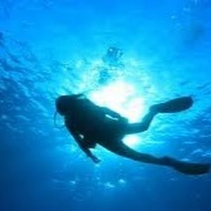 Meet your Posher, Jackson